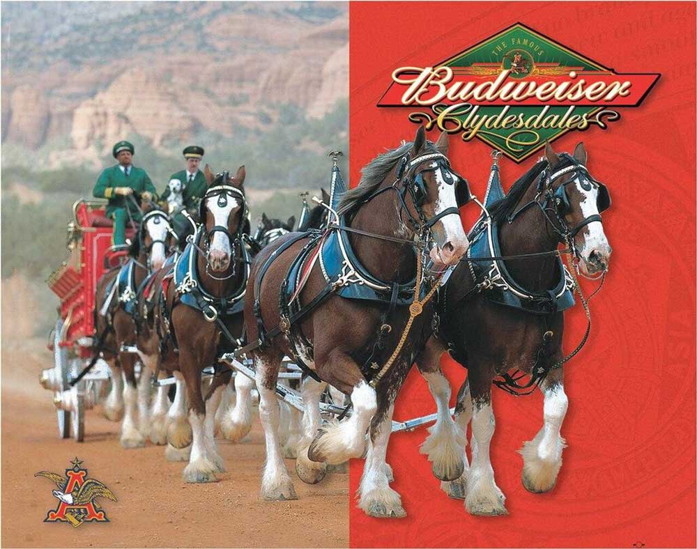 Budweiser Clydesdales Sign